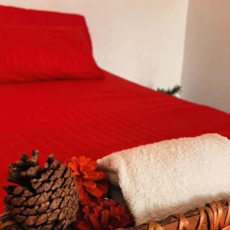 Casa de Colores - Habitación Doble - 4