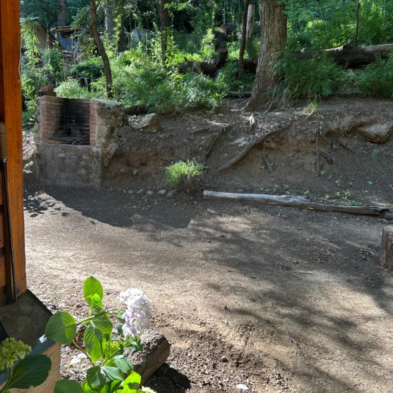 A centrally located cabin surrounded by nature - Chalet de 1 dormitorio - 9