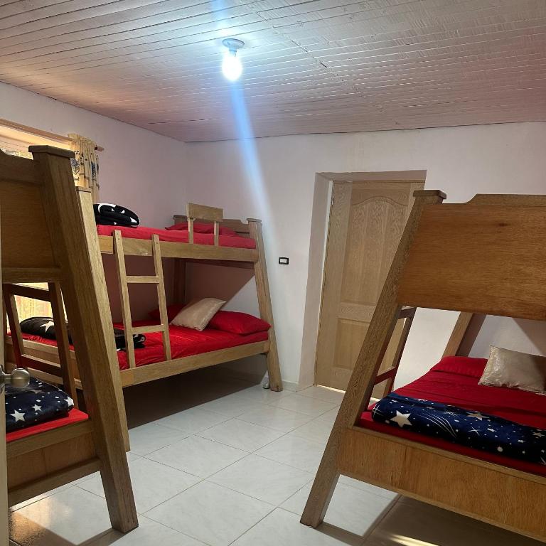 Casa de Colores - Room #1583315402 - 4