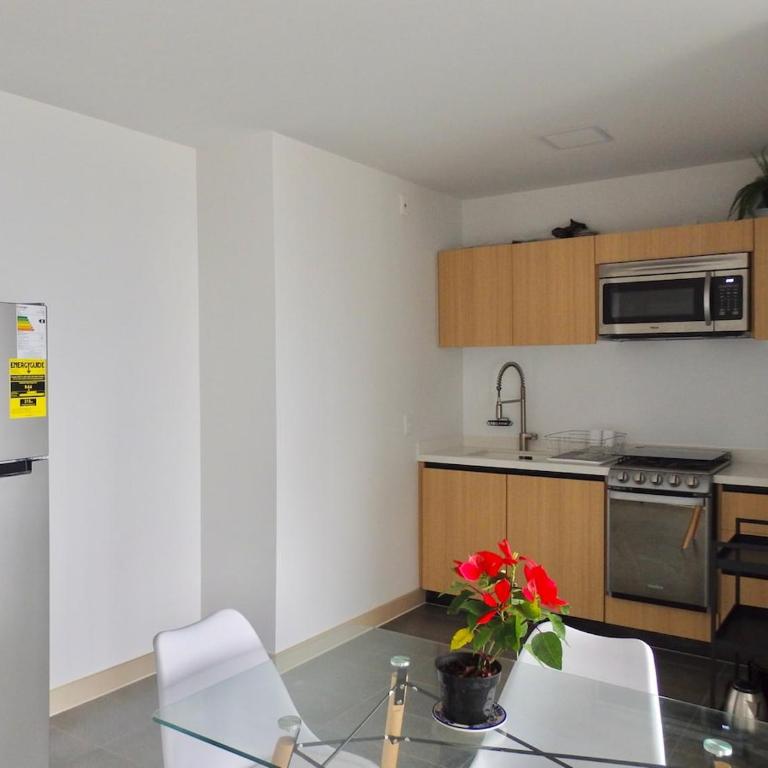 High-rise Loft in Anahuac, near Polanco - Estudio Deluxe con cama grande - 11