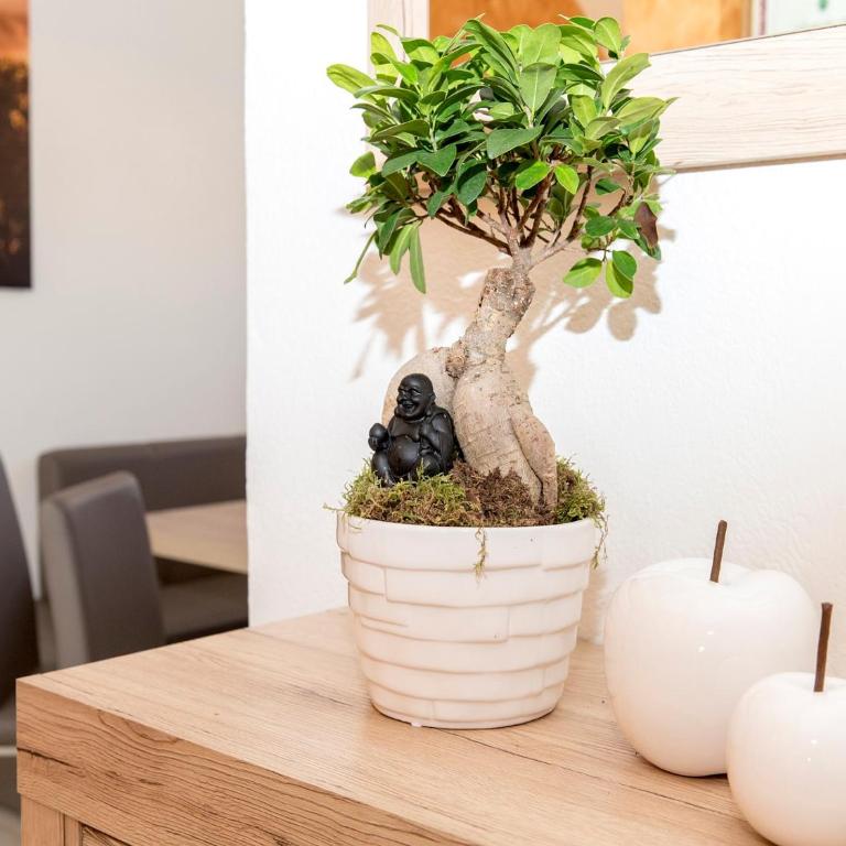 Ferienhaus Kleindienst - Apartment mit 2 Schlafzimmern - 1