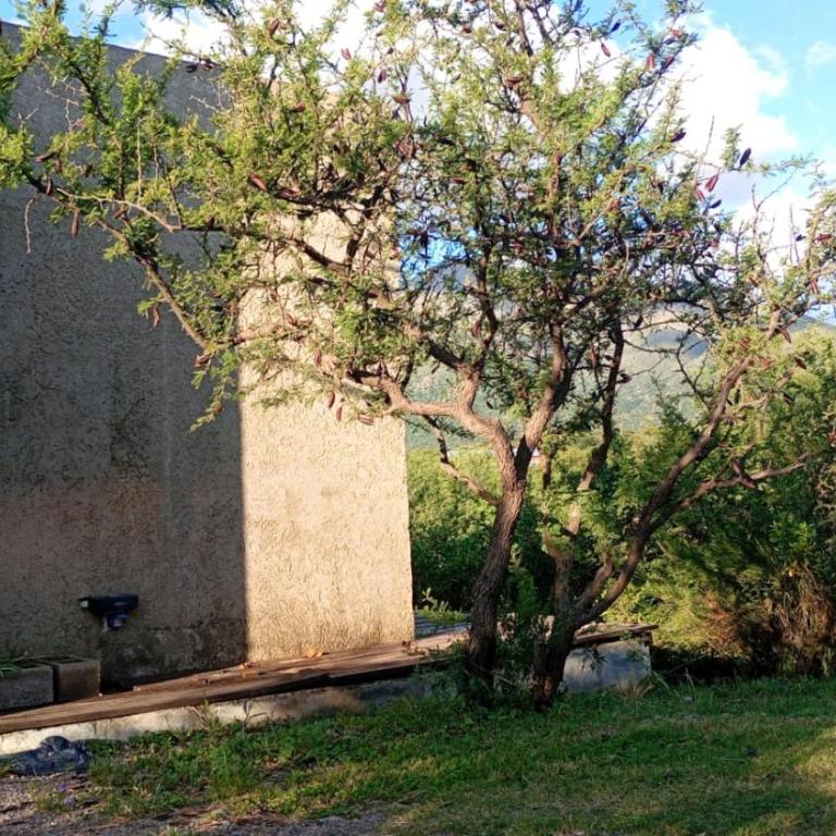 Uritorco Flats - One-Bedroom House - 1