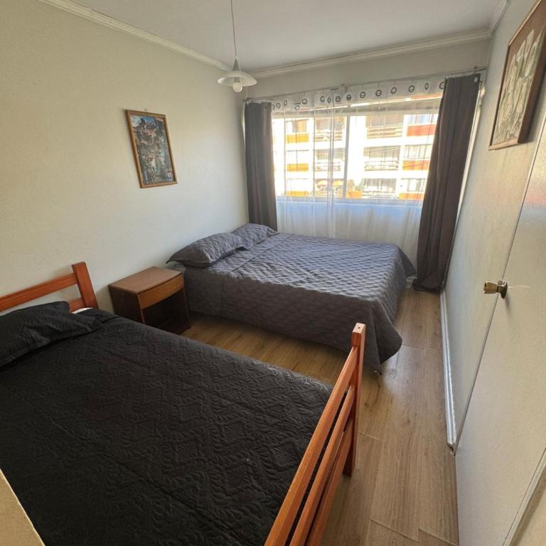 Depto viña Playa mall osos - Apartment - 4
