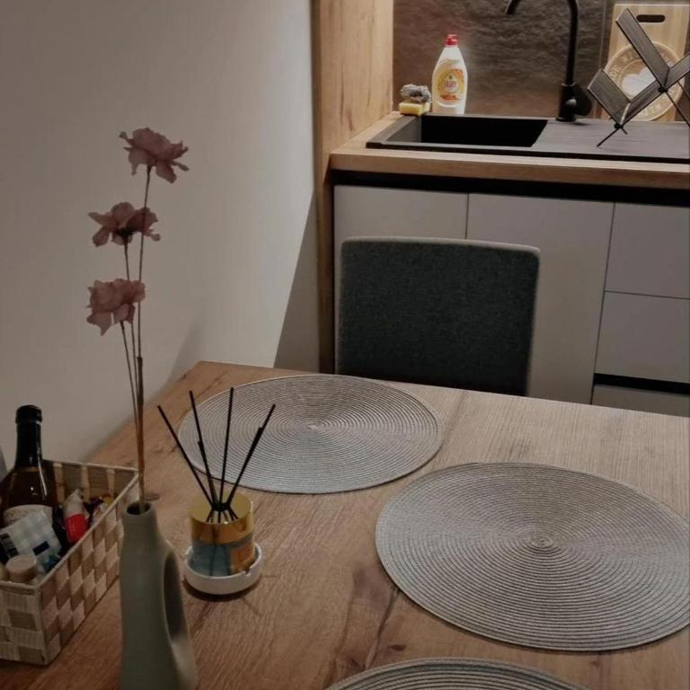 SKYLINE apartments Kopaonik - Studio with Terrace - 10