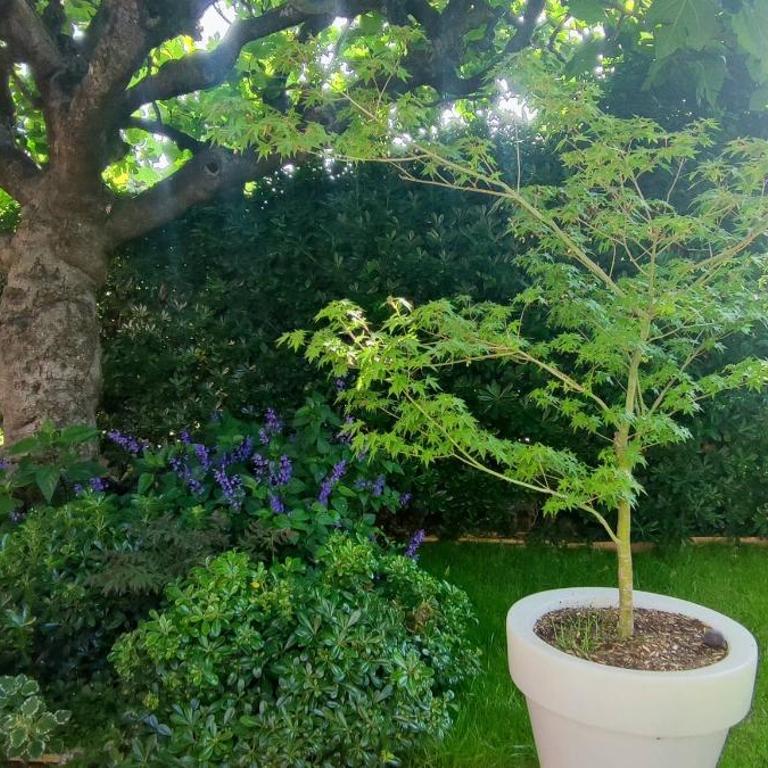FRGK Coastal House , Garden Near Beaches & Ultra-Fast Wi-Fi - Villa mit 2 Schlafzimmern - 7