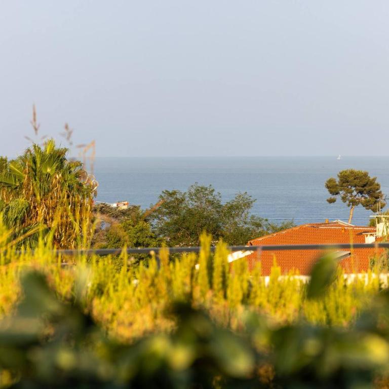 FRGK "BEL AZUR 1 BDR Luxury Sea View Parking AC WIFI HIGH SPEED " - One-Bedroom Apartment - 8