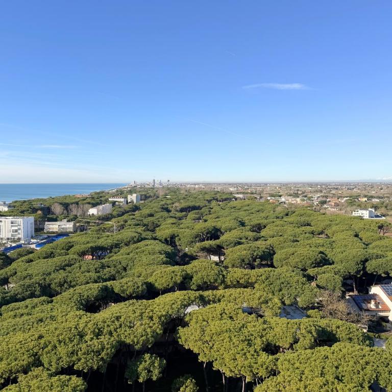 Pineta Residence - Home Immobiliare Jesolo - Appartamento Monolocale con Vista Mare - 23