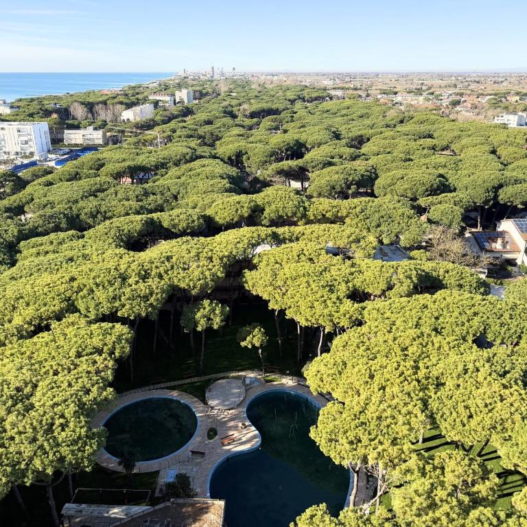Pineta Residence - Home Immobiliare Jesolo - Appartamento Monolocale con Vista Mare - 25