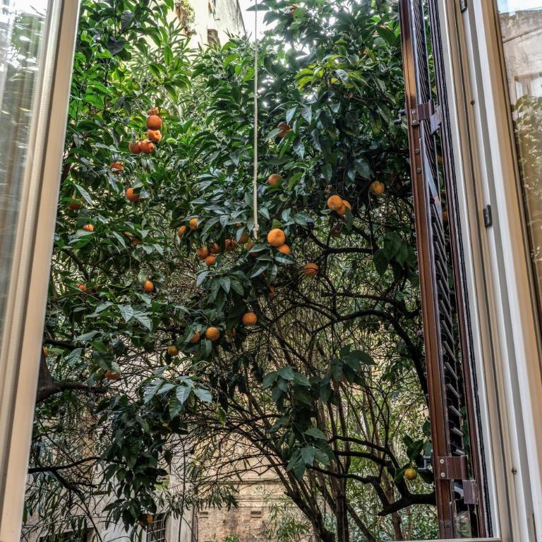 Campo de Fiori - Borgia charming apartment - Appartamento con 1 Camera da Letto - 36