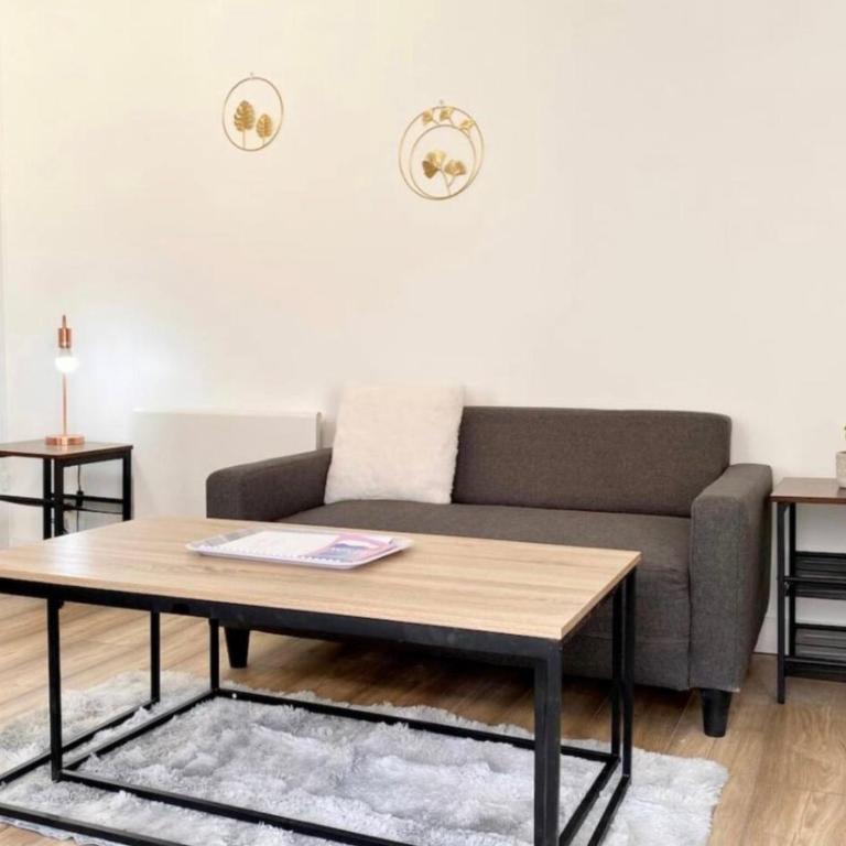 * Le Droma D’or * Appartement Confort * Centre-ville - Appartement 1 Chambre - 4