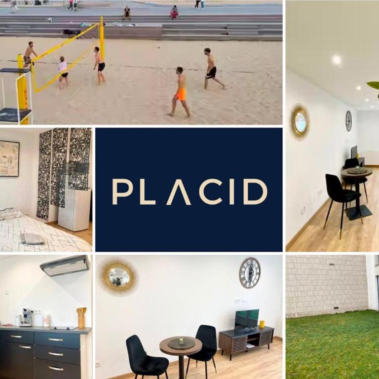 L Evasion - Appartement Plage - TV HD - WIFI FIBRE - Studio - Vue sur Mer - 2