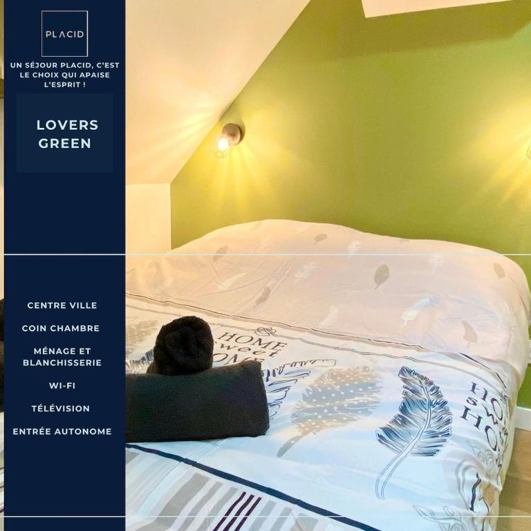 Lovers Green * Centre-Ville * TV-HD - Appartement 1 Chambre - 13