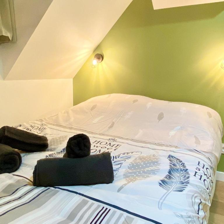 Lovers Green * Centre-Ville * TV-HD - Appartement 1 Chambre - 7