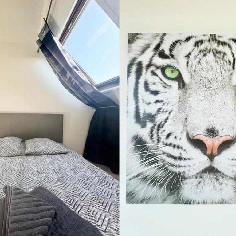 Le Saint Pathère - Proche A16 - Fibre - Appartement 1 Chambre - 16