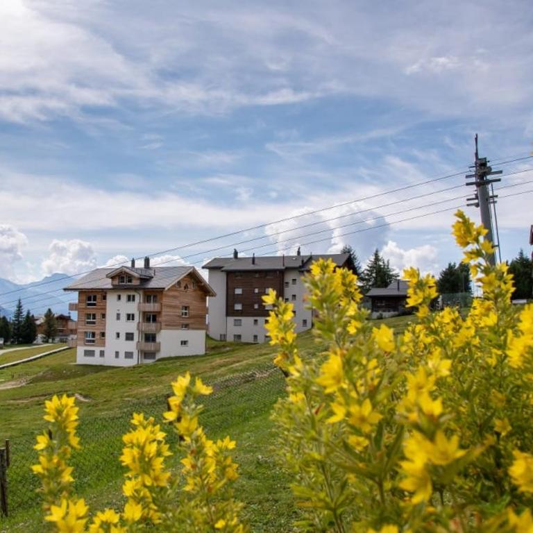 Apartment Weisshorn - Apartment - 9