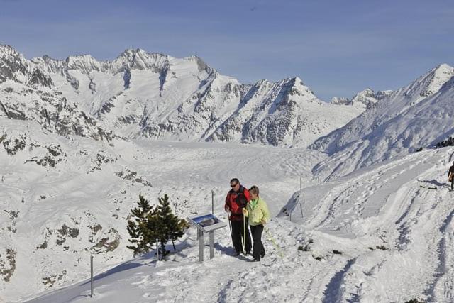 Apartment Weisshorn - Familienzimmer - 6