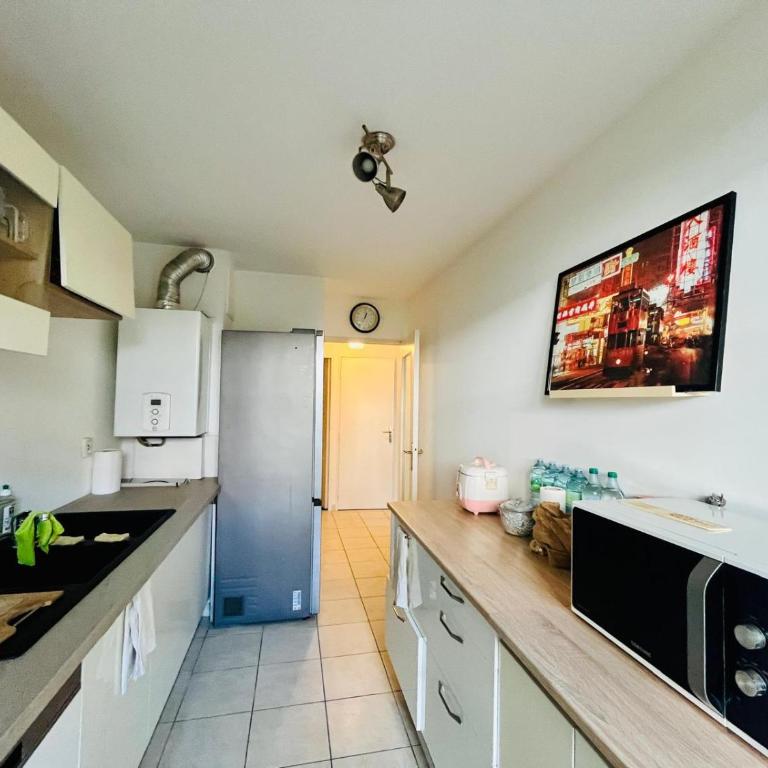 Jardin Lyon PartDieu 50m2 parking Gratuit possible - Apartment mit 1 Schlafzimmer - 1