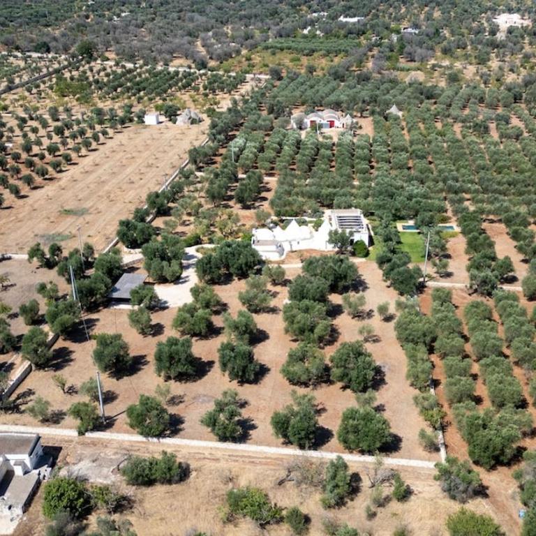 NinniTrulli - Villa - 2