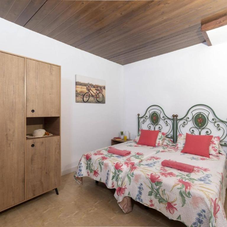 Villa Jardin Canario by Villa Plus - Villa - 20