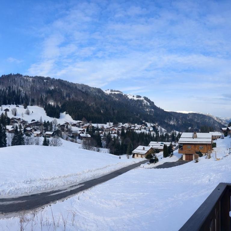 Chalet Chantarou, 10 personnes proche des remontées - Chalet - 21