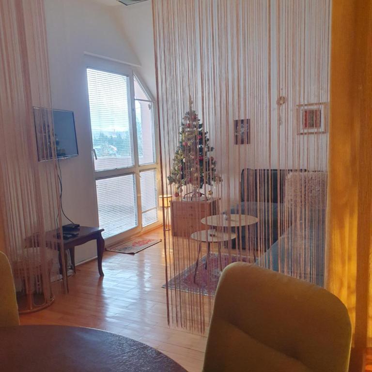 Ljubicica - Sunčani Vrhovi - Apartman sa 1 Spavaćom Sobom - 9
