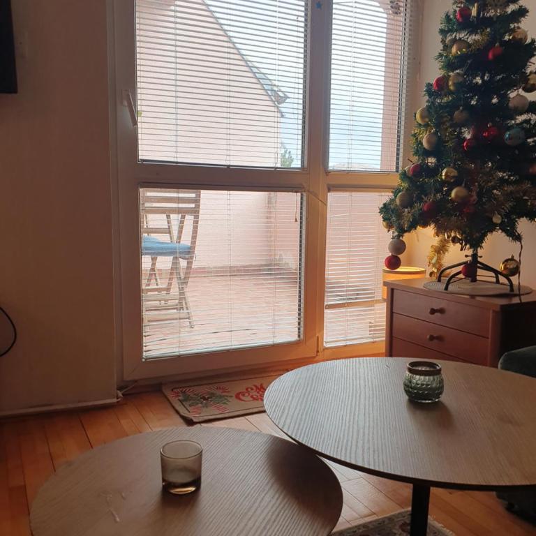 Ljubicica - Sunčani Vrhovi - Apartman sa 1 Spavaćom Sobom - 12