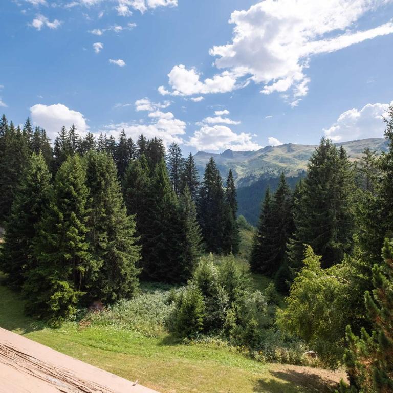 Appartement lumineux au calme, départ skis aux pieds - FR-1-565-139 - Appartement - 3