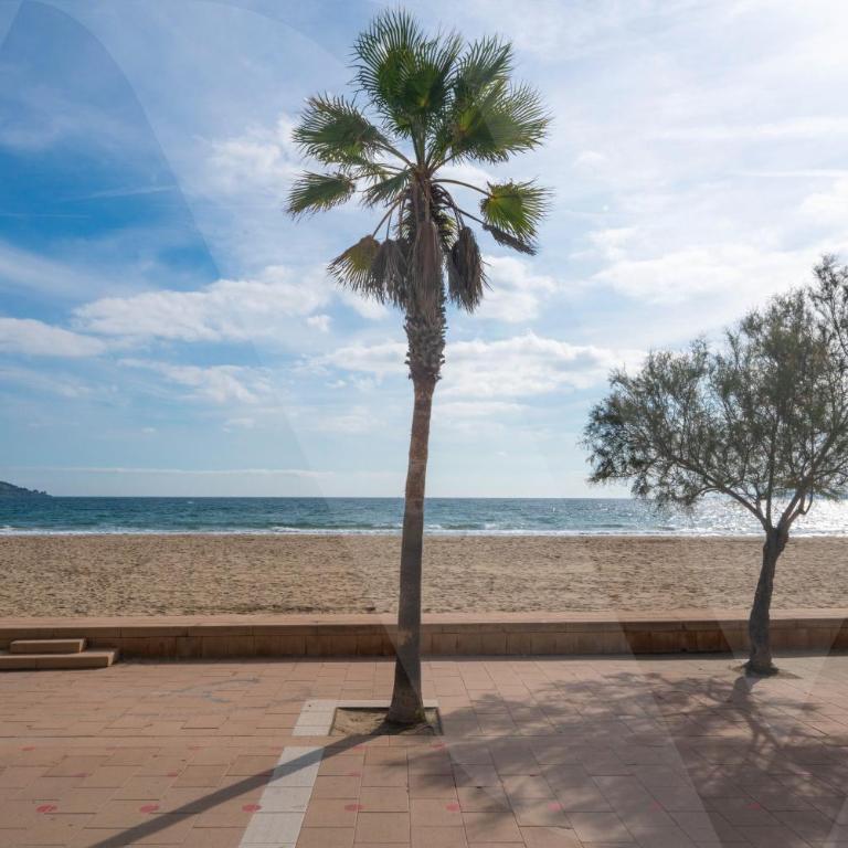Appartement Piscine Parking Roses Cap 10 by Welhomy - Apartamento de 2 dormitorios - 23