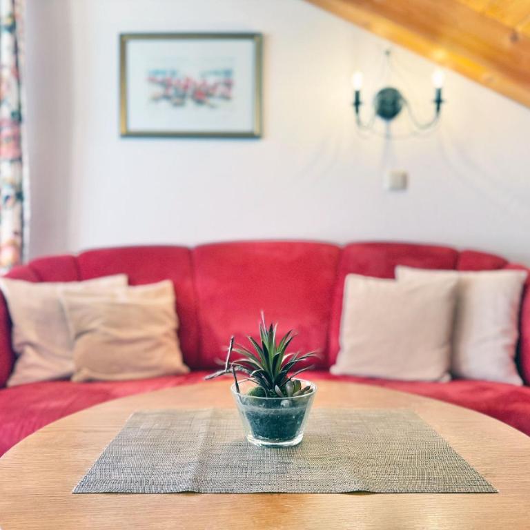 Sonnenhof Seeg 16 - Apartment - 2