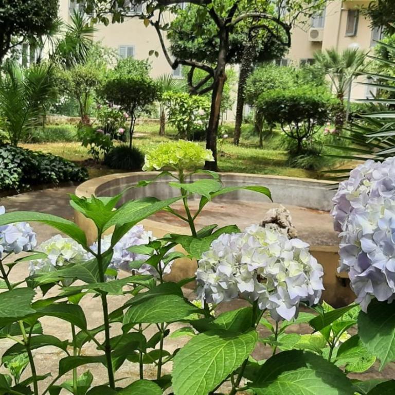 D&R Apartment - Metro Re di Roma - Appartamento Superior con 1 Camera da Letto e Balcone - 2
