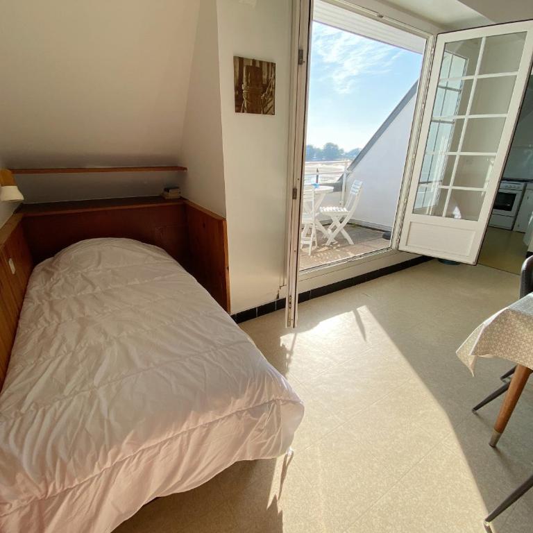 MOUETTES 3 - Balcon, Vue Mer, Men Du - T356 - Appartement - Vue sur Mer - 4