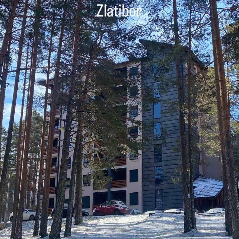 Apartment Pino Bianco 3 - Apartman sa 1 Spavaćom Sobom - 19