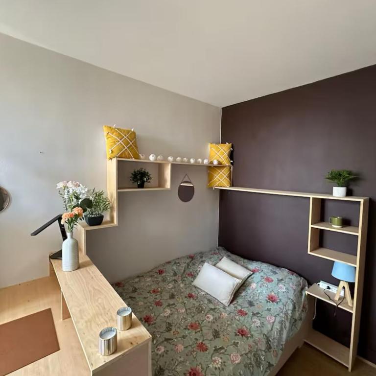 Belles studettes indépendantes - Appartement 1 Chambre - 1
