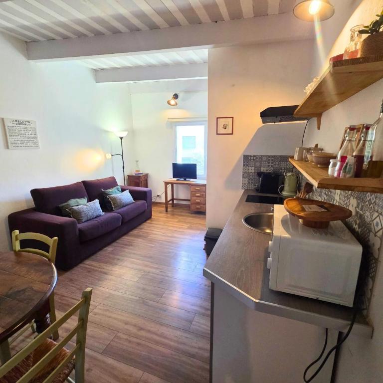 Magnifique appartement au cœur de la Venise Provençale - One-Bedroom Apartment - 3