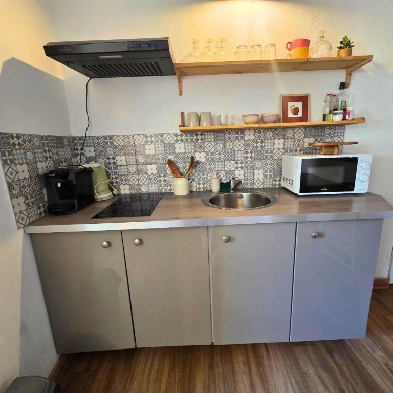 Magnifique appartement au cœur de la Venise Provençale - One-Bedroom Apartment - 5