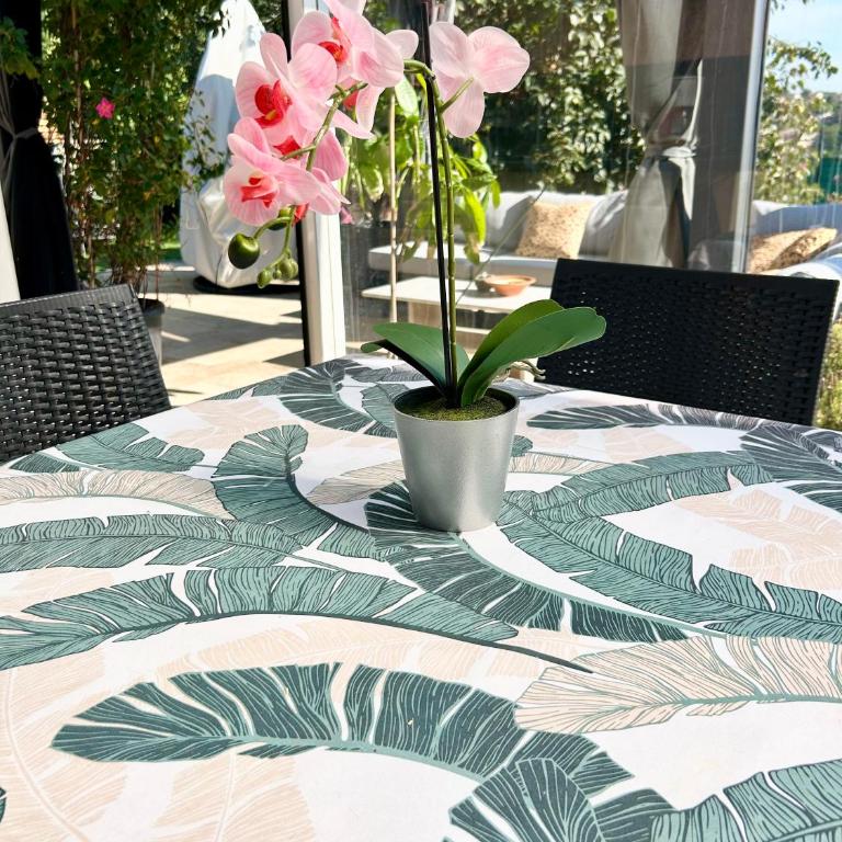 Maison havre de paix dans les Alpes-Maritimes - Villa avec Piscine Privée - 44