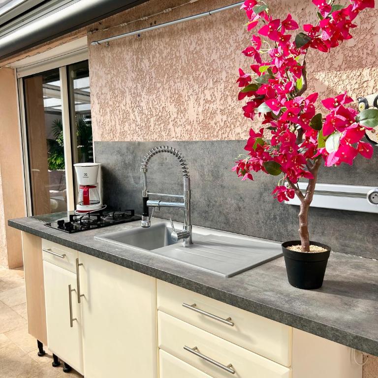 Maison havre de paix dans les Alpes-Maritimes - Villa avec Piscine Privée - 43