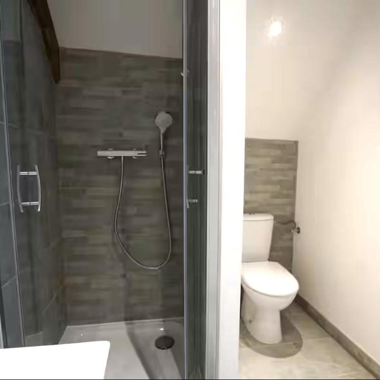 Au grand cœur d'Annecy - Appartement-Studio avec 1 Lit Double - 2