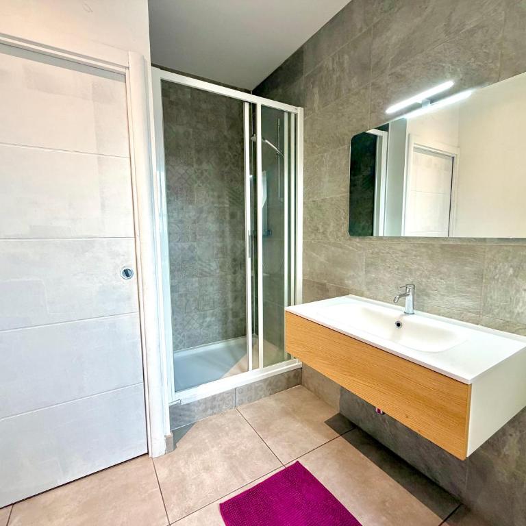 Au grand cœur d'Annecy - Appartement 2 Chambres - 9