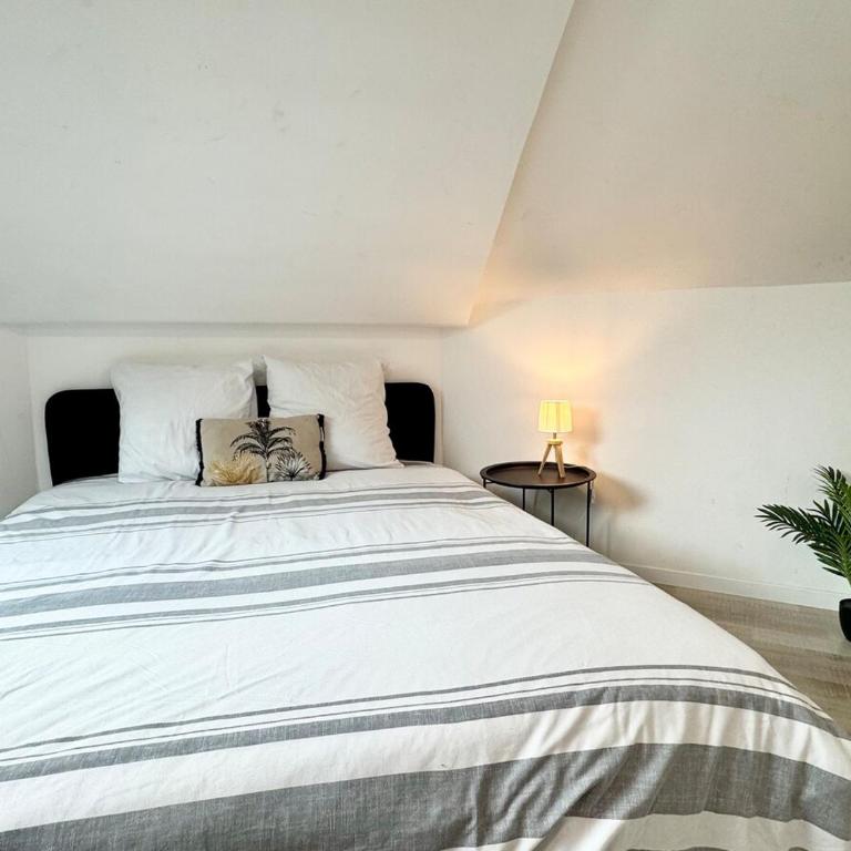LeNova3 - Centre-ville - TV - WIFI - Appartement - 10