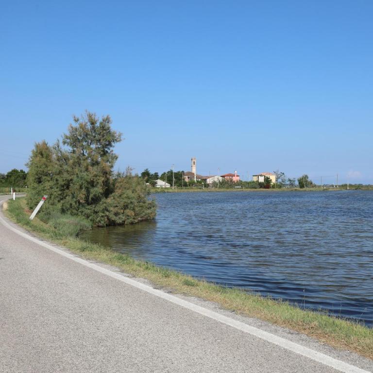 Apartment Beachfront in Jesolo 54343 - Appartamento - 19