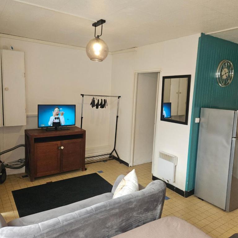 Le Roosvelt - Appartement 1 Chambre - 3