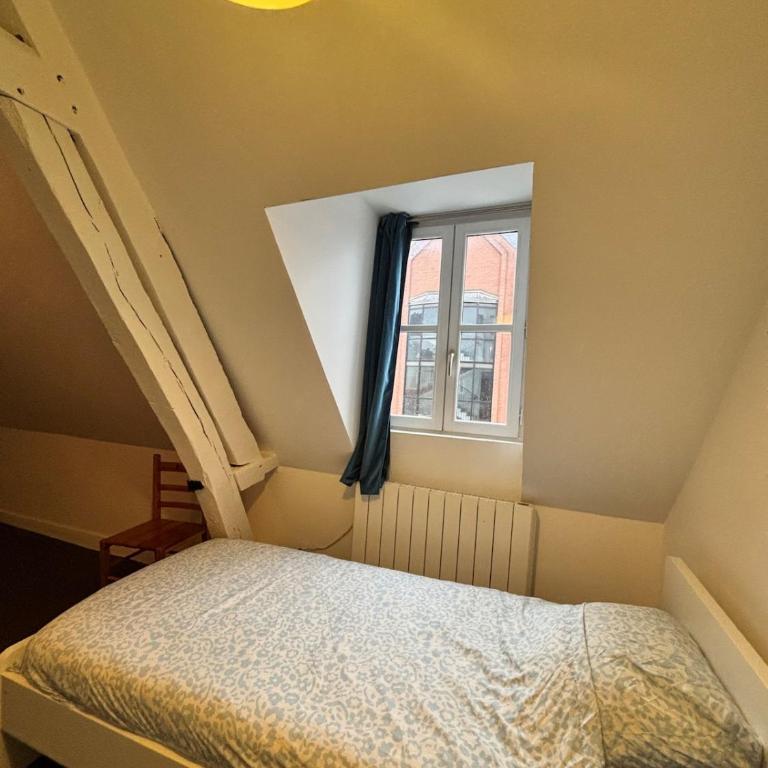 Sous les toits des Jacobins, 3 chambres, WiFi - Apartamento de 3 dormitorios - 14