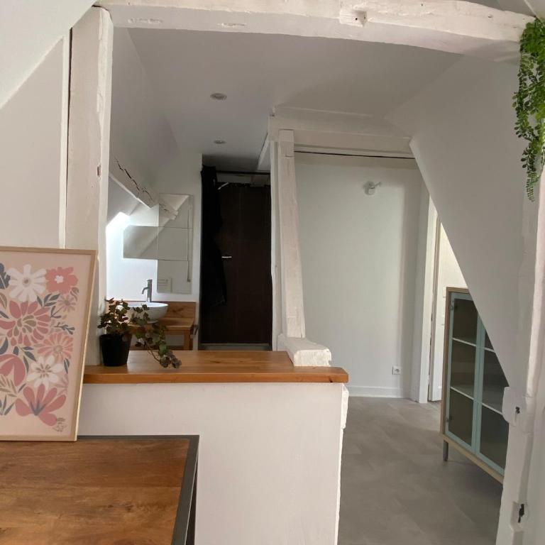 Sous les toits des Jacobins, 3 chambres, WiFi - Apartamento de 3 dormitorios - 16
