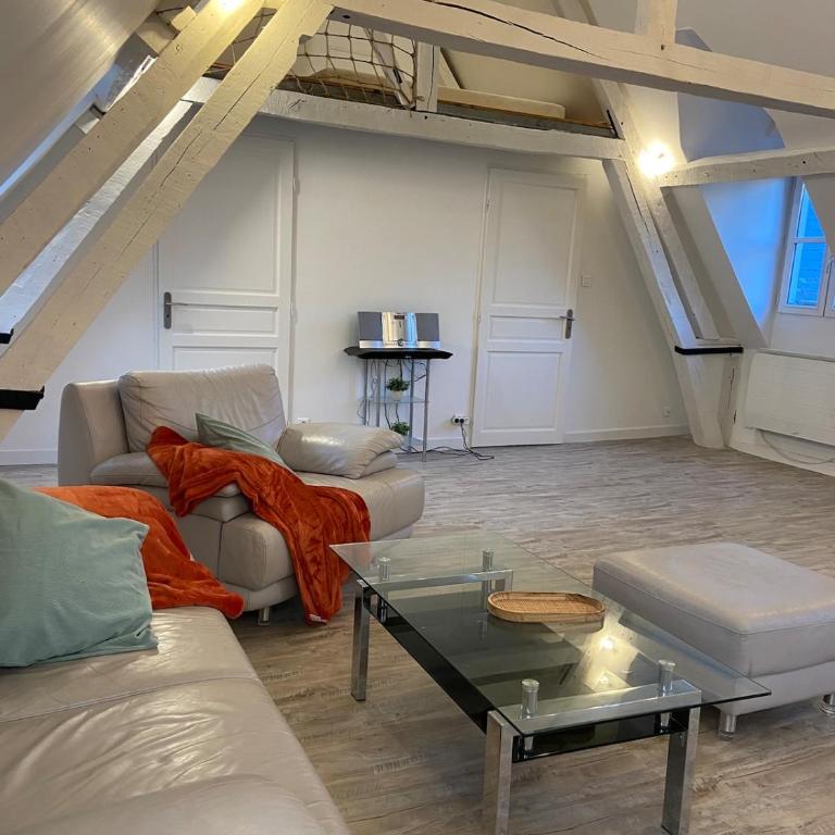 Sous les toits des Jacobins, 3 chambres, WiFi - Apartamento de 3 dormitorios - 22