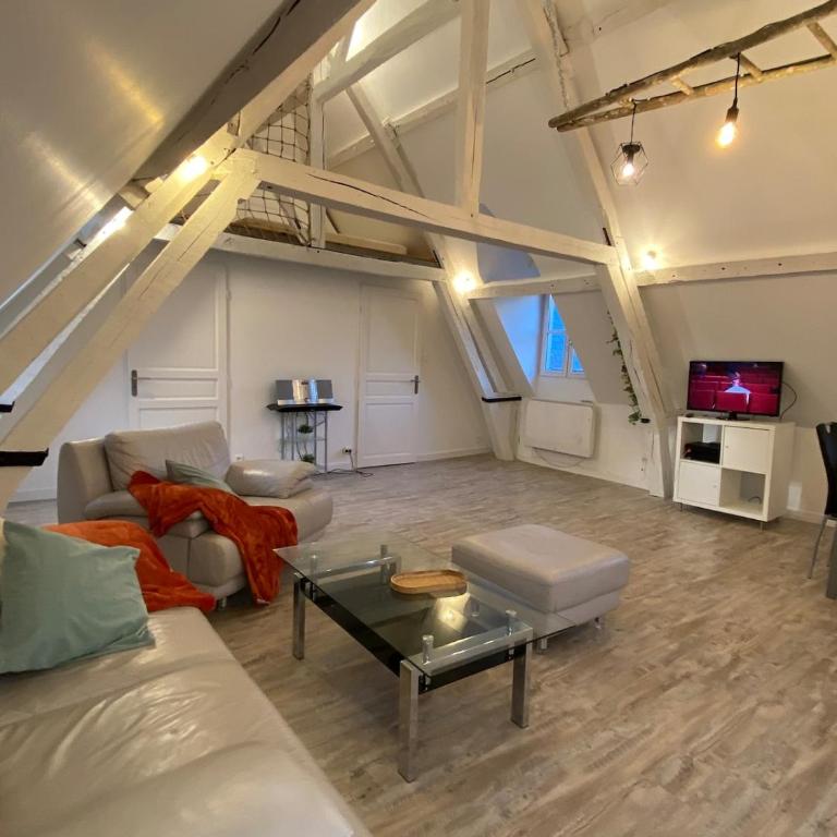 Sous les toits des Jacobins, 3 chambres, WiFi - Apartamento de 3 dormitorios - 26
