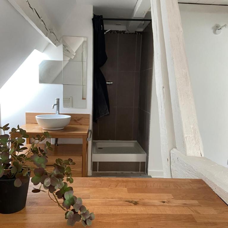 Sous les toits des Jacobins, 3 chambres, WiFi - Apartamento de 3 dormitorios - 29