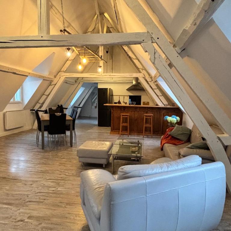 Sous les toits des Jacobins, 3 chambres, WiFi - Apartamento de 3 dormitorios - 30