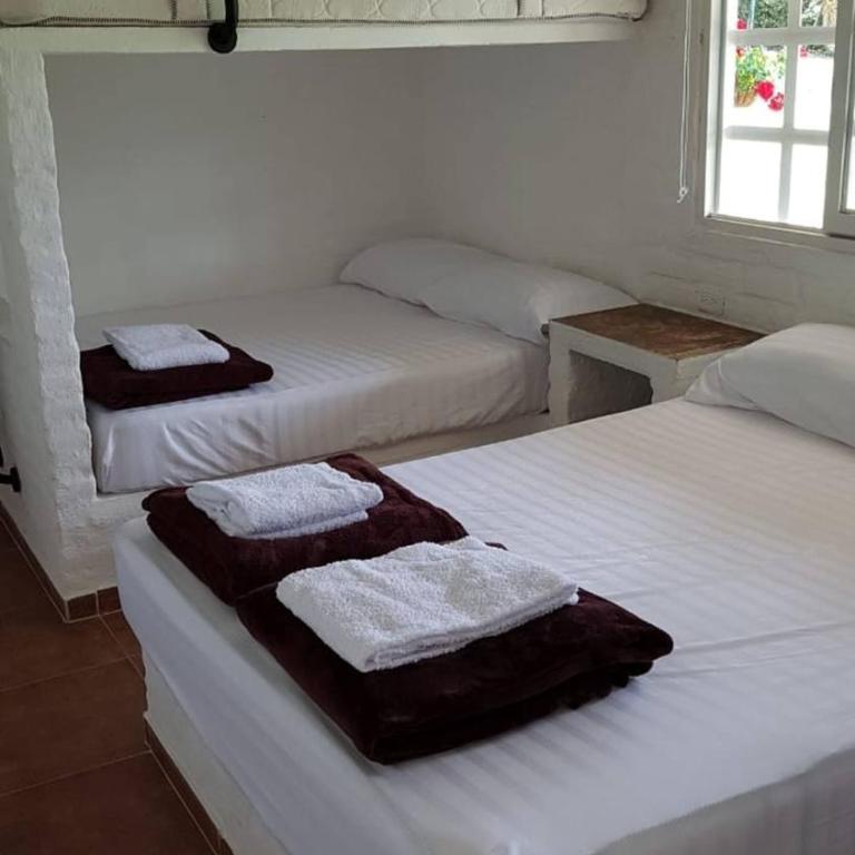 El Guadual del Eden - Tourism Registry - 48044 - Vacation Home - 3