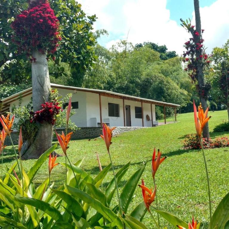 El Guadual del Eden - Tourism Registry - 48044 - Vacation Home - 9